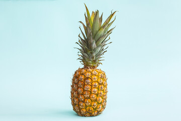 Pineapple blue background. Close up. Copy space