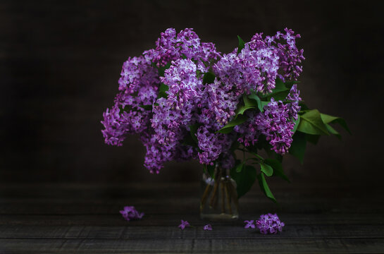Still-life. Lilac Bouquet on the table.