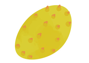 キワノのイラスト