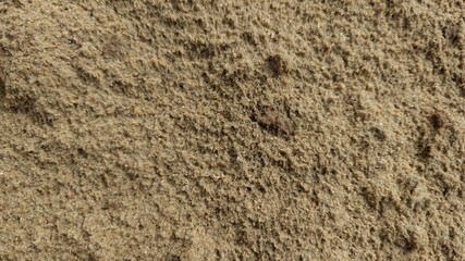 Sand texture. Background of fine river sand.