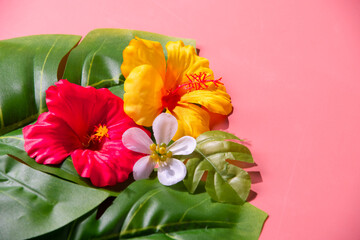 Artificial hibiscus flowers and leaves on pink background.