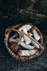 Little basket with mushrooms