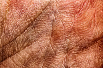 Naklejka premium Close up of a palm