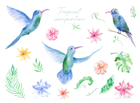 Watercolor set with tropical flowers, leaves and hummingbird. Hawaiian exotic illustrations for greeting card, wedding, wallpaper