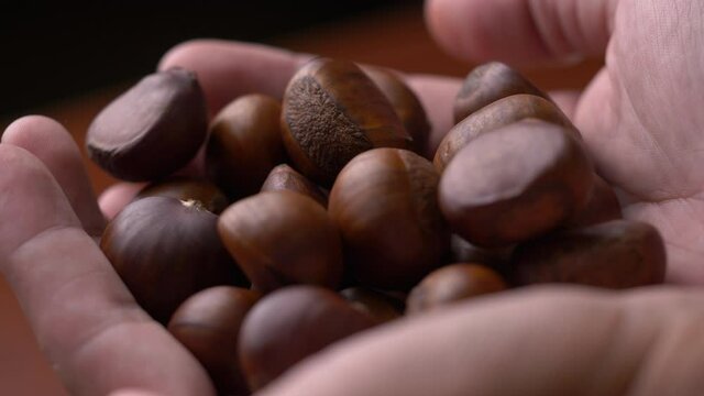 Ripe chestnuts in hands close-up