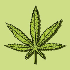 Cannabis vector leaf