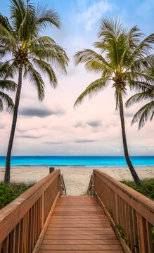 Wooden boardwalk access to Hollywood beach with swaying coconut palm trees on a beautiful summer day in Florida, USA.