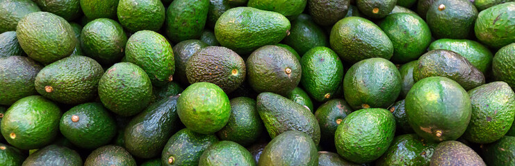 Background with fresh avocado