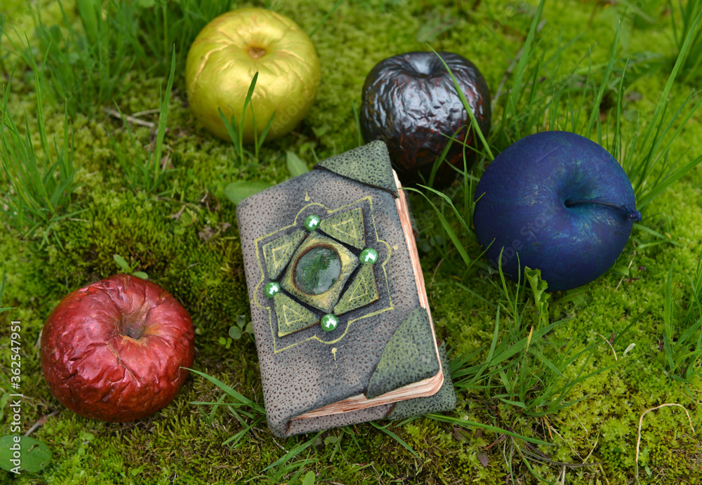 Wall mural Magical apples and witch book of spells on the grass in the garden. Esoteric, gothic and occult background with magic objects, mystic and fairy tale concept