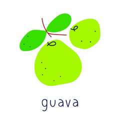 Guava. Vector icon Illustration on white background.
