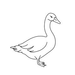 Goose line drawing. Minimalistic style for logo, icons, emblems, template, badges. Isolated on white background. Vector illustration