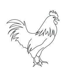 Rooster line drawing. The minimalistic style for logo, icons, emblems, template, badges, label. Isolated on white background. Vector illustration
