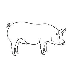 Pig line drawing. The minimalistic style for logo, icons, emblems, template, badges. Isolated on white background. Vector illustration