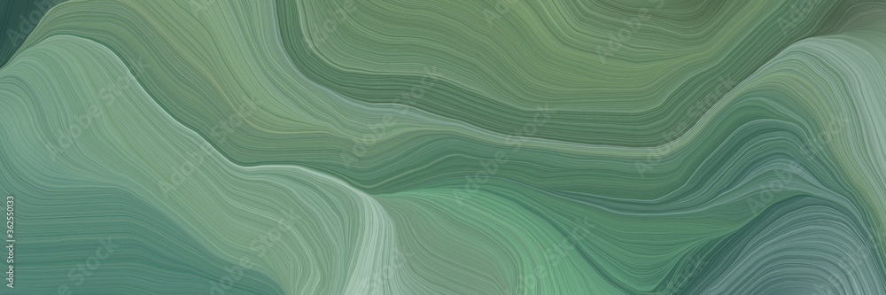 Fototapete inconspicuous header with elegant smooth swirl waves background illustration with gray gray, dark gr