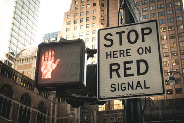 New York seen by Japanese