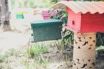 honey bee beehive. bees house