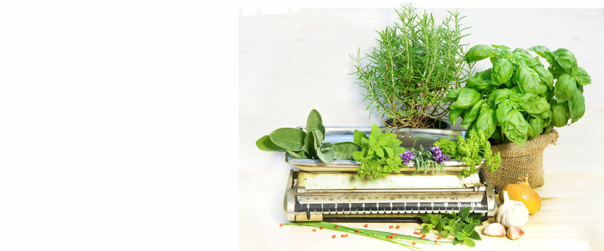Herbs and spices with old kitchen scale, banner, header, headline