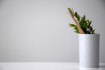 Organic bamboo toothbrush in white holder and green leaf on white background. Teeth care and dental treatment concept. Copy space.