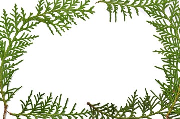 Christmas frame of fir leaves on white background. Concept of Chritsmas or New Year