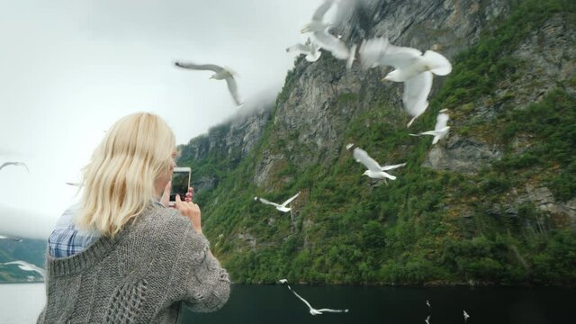A view from behind a woman, taking pictures of a picturesque Norwegian fjord. Norwegian cruise