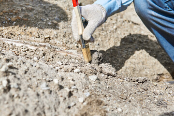 paleontologist's hand with brush cleansing fossil bone from sand