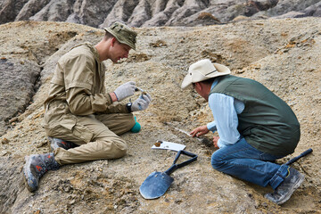 paleontologists have discovered a fossils in the desert