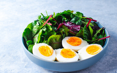chard salad in a blue bowl on a blue background. selective focus