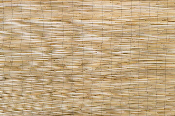 background of bamboo canes, texture
