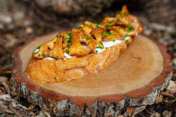 Crostini with chanterelles