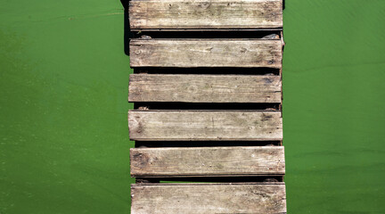 Top view on algae bloomed lake and wooden platform