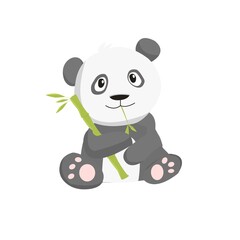 Panda Illustration