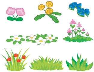 Grass and floral graphic elements vector illustration