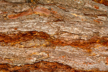 Beautiful wooden texture background