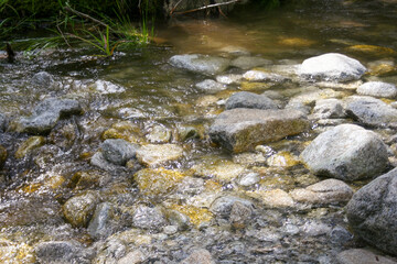 Fototapeta na wymiar Mountain stream river with many rock stone. Natural outdoor flowing river background.