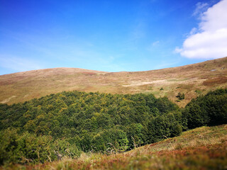 Beautiful landscape on Bieszczady. Polish mountains. Artistic view in colours. © Krzysztof