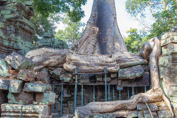 Ancient Preah Palilay temple in Angkor Thom and huge Banyan trees. Angkor, Cambodia.
