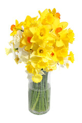 A bunch of yellow and white daffodils photographed against a white studio background