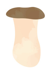 エリンギのイラスト