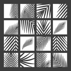 Black fern on white background. Vector silhouettes collection.  © Borisovna.art