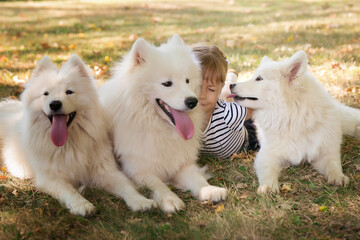 Naklejka na ściany i meble little cute girl with big white dogs. pets