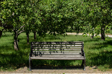 wooden bench in a large garden