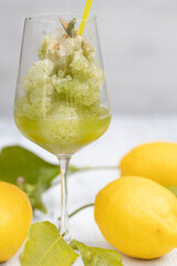 still life with lemon mint sorbet