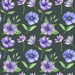 Watercolor floral seamless pattern. Hand drawn purple and blue anemone flowers, dark background. 