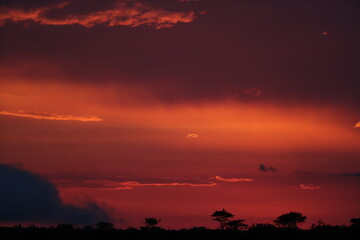 Fototapeta na wymiar Sunset in savannah in kenya