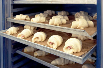 Raw buns in proofing cabinet, toned