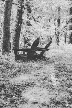Empty Adirondack Lounge Chairs In Wooded Forest