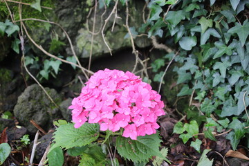 넌 모이면 예뻐