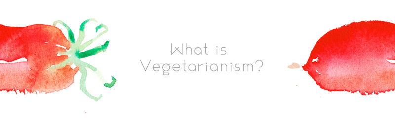 Vegetarianism horizontal template banner. Bio food background with watercolor tomatoes. Natural vegetarian food backdrop with tomato paste illustration. Vegetable kitchen for Healthy eating — Diet.