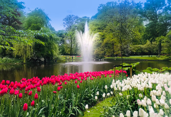 Fountain in tulip gardens, Keukenhof Gardens, Netherlands