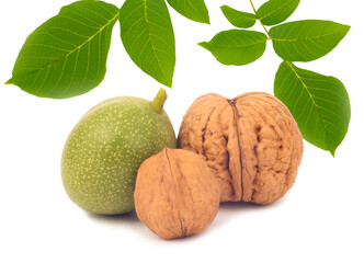 walnuts and leaves isolated on white background